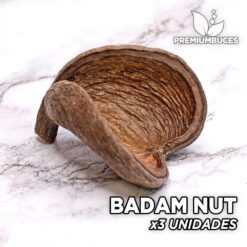 Badam Nut x3 Unidades Hojas y botánicos para acuario