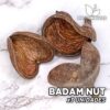 Badam Nut x3 Unidades Hojas y botánicos para acuario