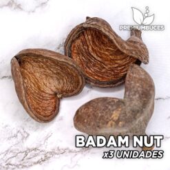 Badam Nut x3 Units Leaves and botanicals for aquarium