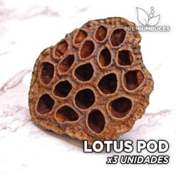 Lotus Pod x3 Unidades Hojas y botánicos para acuario