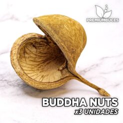Buddha Nuts x3 Unidades Hojas y botánicos para acuario