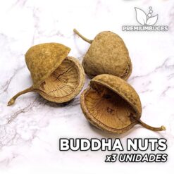 Buddha Nuts x3 Units Leaves and botanicals for aquarium