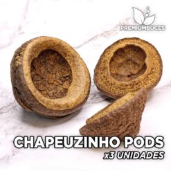 Chapeuzinho Pods x3 Units Leaves and botanicals for aquarium