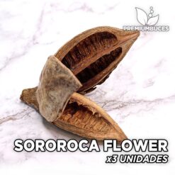 Sororoca Flower x3 Unidades Hojas y botánicos para acuario