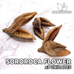 Sororoca Flower x3 Units Leaves and botanicals for aquarium