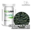 SHRIMP NATURE Plant