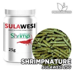 SHRIMP NATURE Sulawesi