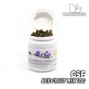 CSF Bee Fruit Mix