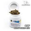 CSF Berg Power+
