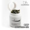CSF Equinácea+ 25g