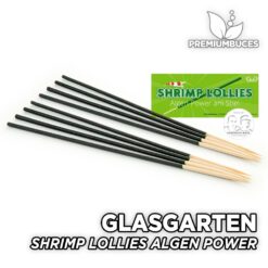 GLASGARTEN Garnelenlutscher Algen Power