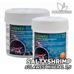 SALTYSHRIMP Sulawesi Minéral 7,5