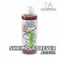 Shrimps Forever Algasol es una forma segura de combatir las algas en un Gambario con gambas delicadas.