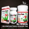 SL-AQUA Milione Batteri Polvere 70g