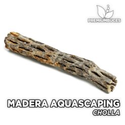 Madera de Cholla Maderas Aquascaping