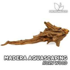 Madera Horn Wood Maderas Aquascaping