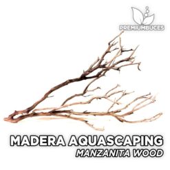 Madera Manzanita Maderas Aquascaping