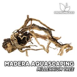 Madera Millennium Tree Maderas Aquascaping