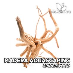 Madera Spiderwood Maderas Aquascaping