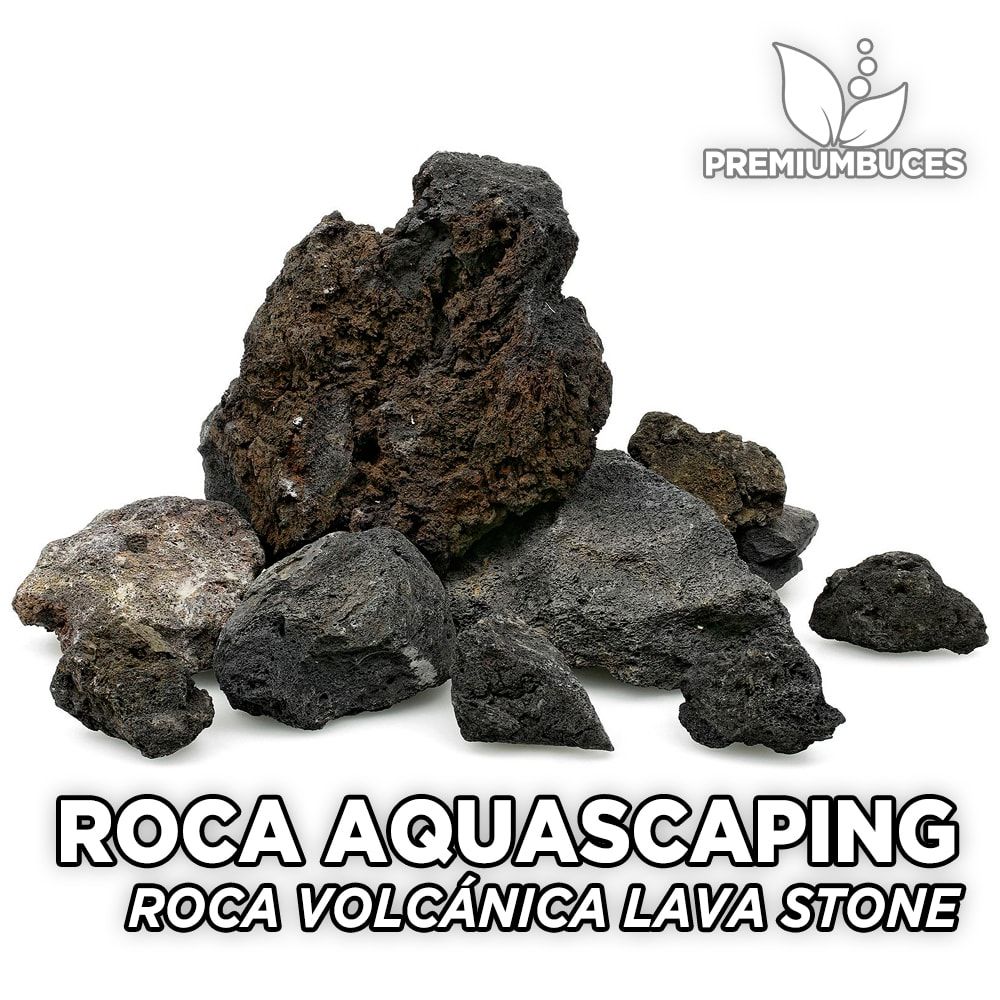Bienes diversos Piñón Representar Roca Volcánica Negra Black Lava Rock 🛒 - PremiumBuces