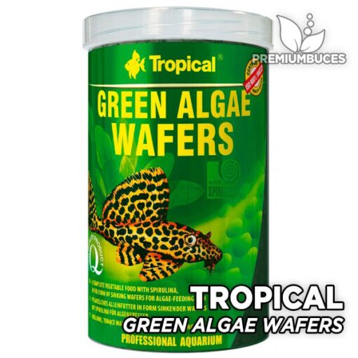 tropical-green-algae-wafers