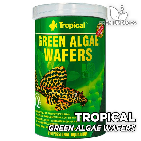 Tropical algae wafers deals