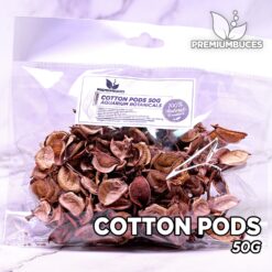 Cotton Pods Hojas para Acuario