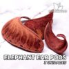 Elephant Ear Pods Aquarium Sheets