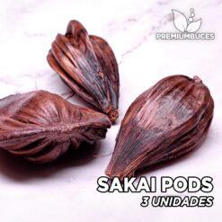 Sakai Pods Hojas para Acuario