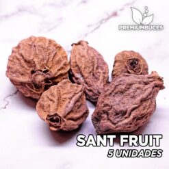Sant Fruit Hojas para Acuario