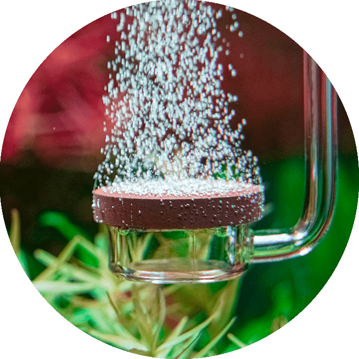 Homemade CO2 with Sugar and Yeast for Aquarium