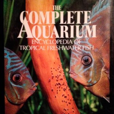 Fondamentaux de l'aquariophilie : Guides essentiels pour un