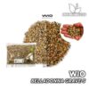 Koop online de Arena voor Aquarium WIO Belladonna Grave S. Uitzonderlijke kwaliteit en levering. WIO Belladonna Grave S in Premium Divers.