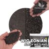 Achetez en ligne le substrat pour aquarium WIO EONIAN Black Wetland. Qualité et livraison exceptionnelles. WIO EONIAN Black Wetland dans les plongées Premium.