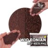 Buy online the WIO EONIAN Red Wetland Aquarium Substrate. Exceptional quality and delivery. WIO EONIAN Red Wetland in Premium Dives.