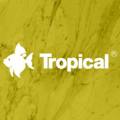 Tropicale